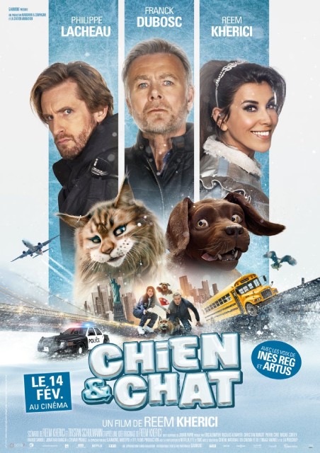 Chien & Chat